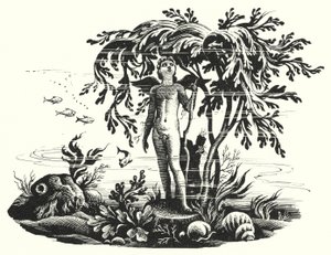 Hans Christian Andersen: The Little Mermaid
