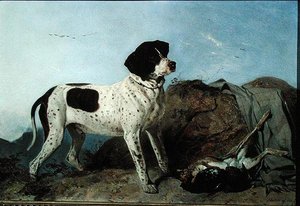 Old Jack - A Pointer