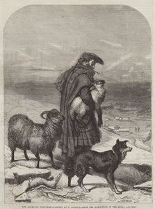 The Highland Shepherd