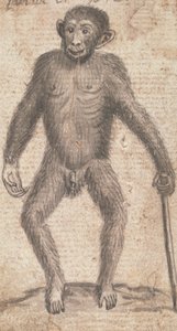 Monkeys (One of Three on One Mount) by Richard Brookes