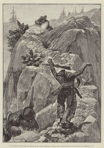 Eagle Joe