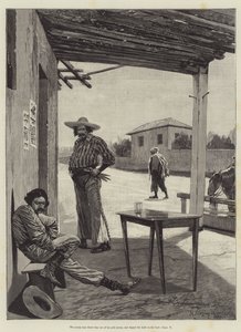 Maruja
