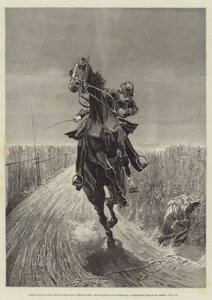 Maruja, by Bret Harte