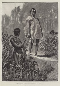 Nada the Lily, by H Rider Haggard by Richard Caton Woodville junior