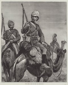 The Camel Corps for the Nile Expedition