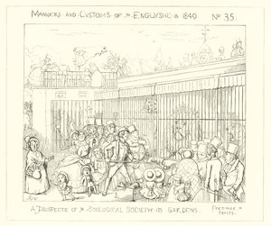 A prospect of the Zoological Societys Gardens (1849) by Richard Doyle