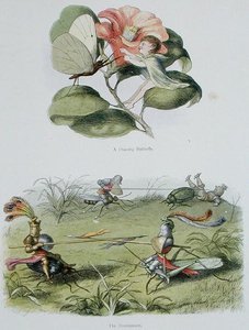 A Dancing Butterfly, and The Tournament, illustrations from 