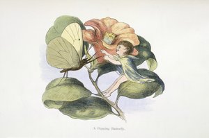 A Dancing Butterfly by Richard Doyle