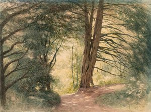 Boxhill, Surrey by Richard Doyle