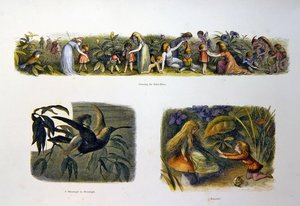 In Fairy Land by Richard Doyle