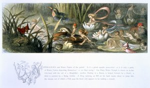 Water-Lilies and Water Fairies, Illustration from 