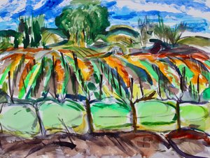 Autumn Vineyards, Napa, 2017 by Richard Fox