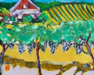Merlot Grapes, Napa, 2017