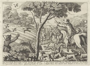 Partridge Hawking (Hunting Parties)