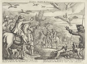 Falconry on Herons and Ducks (Hunting Parties)