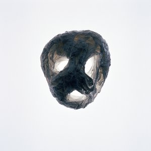 Ghoulie, 2015 by Richard Green
