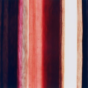 Stripe XI, 2005 by Richard Green