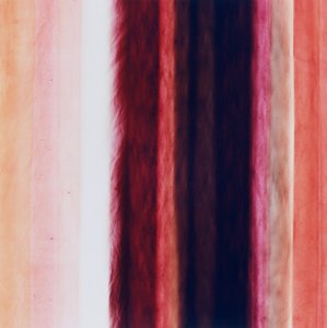 Stripe X, 2005 by Richard Green