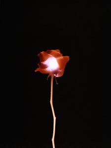 Untitled, 2007 by Richard Green