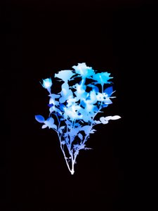 Untitled, 2008 by Richard Green
