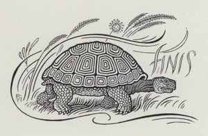 Hare And The Tortoise by Richard Heighway