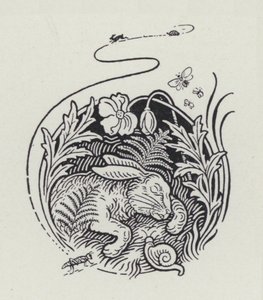 The Hare And The Tortoise