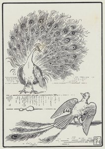 The Jay And The Peacock by Richard Heighway