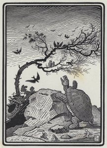 The Tortoise And The Birds by Richard Heighway