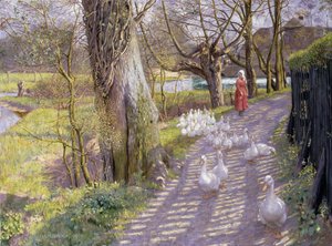 The Path by the Mill Pond