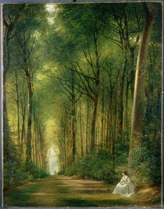 The Beech Avenue, Denbies
