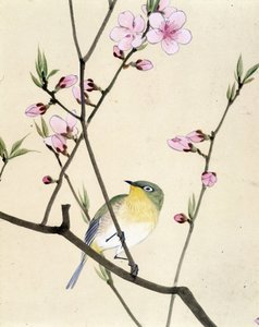 Bird - Japanese drawing by Riou Chim, late 19th century by Riu Chim