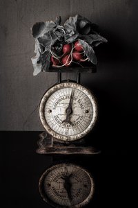 Vintage Scale with Radishes