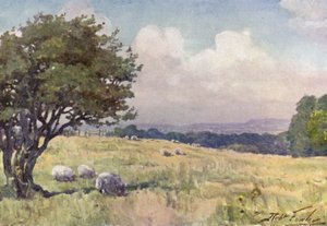 Sunny Field, near Llanberis by Robert (after) Fowler