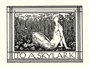 Shelley: To A Skylark by Robert Anning Bell