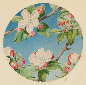 Apple Blossoms, c.1869 by Robert B. Brandegee