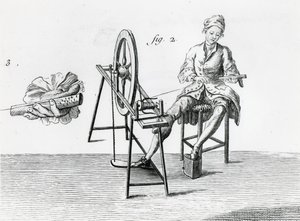 Rustic economics, cotton, from Encyclopedia by Denis Diderot by Robert Benard