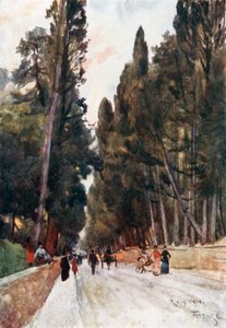 Looking Down the Cypress Avenue of Poggio Imperiale, on the Road to Arcetri by Robert Charles Goff
