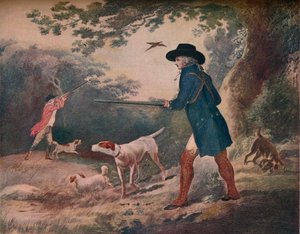 Pheasant Shooting