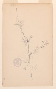 Bough by Robert Frederick Blum