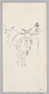 Donkeys
