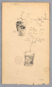 Flower Pots, 1877 by Robert Frederick Blum
