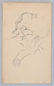 Tree Branch by Robert Frederick Blum