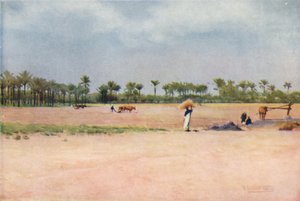 Esbet-El-Ekiad - Land of Goshen