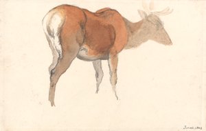 A Stag by Robert Hills