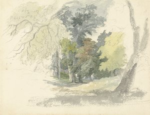 A Woodland Glade by Robert Hills