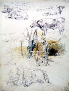 Cattle Studies by Robert Hills