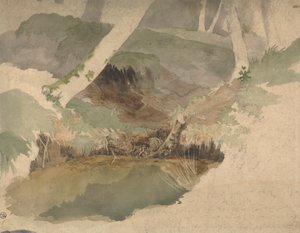 Forest Pool by Robert Hills