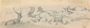 Stags and Deer at Rest by Robert Hills