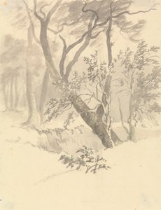 The Wood by Robert Hills
