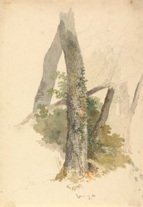 Tree Study with Ivy Clinging to Stump by Robert Hills